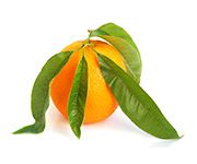 by-cosmetics Orange